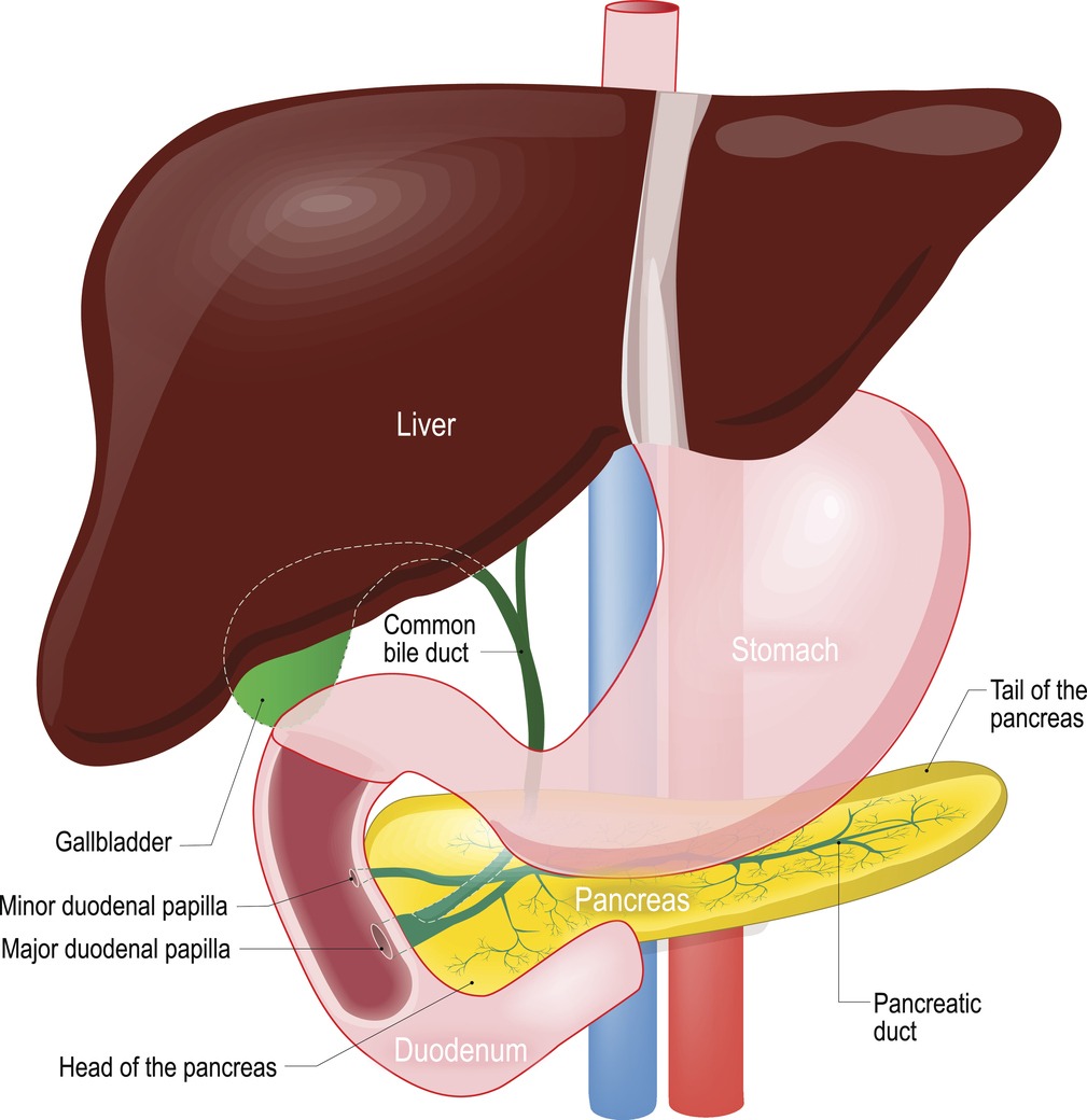 mesothelioma staging tnm 8